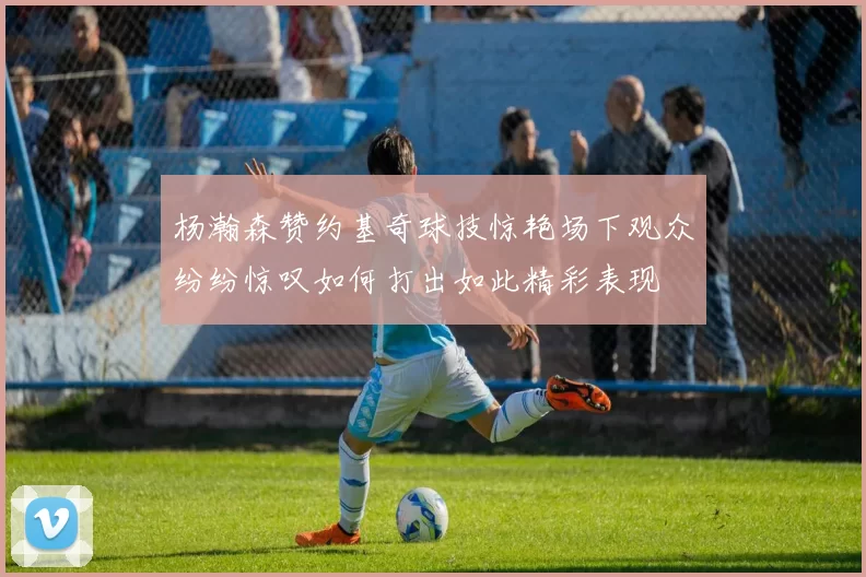 杨瀚森赞约基奇球技惊艳场下观众纷纷惊叹如何打出如此精彩表现